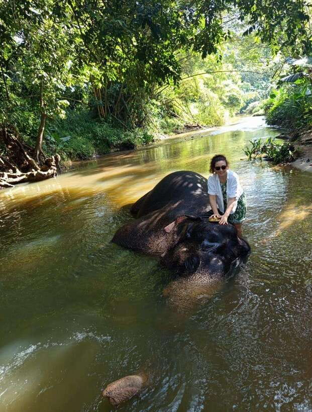 From Colombo or Negombo: Pinnawala, Kandy & Tea Factory Tour - Pinnawala Elephant Orphanage: river bathing you can’t fake