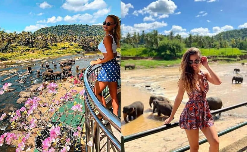 From Colombo: Pinnawala & Tea factory with Kandy Hotel Drop - Colombo to Kandy in one smooth day (and why that matters)