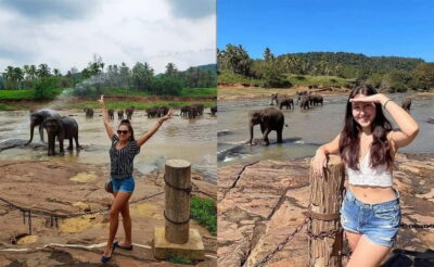 From Colombo: Pinnawala & Tea factory with Kandy Hotel Drop - Pinnawala Elephant Orphanage: the real focus of the day