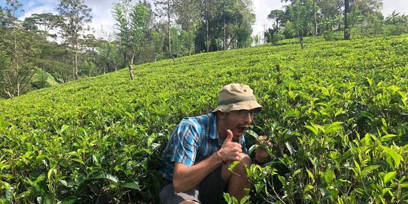 From Colombo: Virgin White Tea and Galle City Tour - Handunugoda Tea Factory: Virgin White Tea Up Close