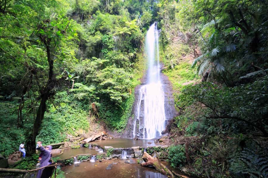 From Jakarta: Safari Park, Tea Plantation & Jaksa Waterfall - How The Jakarta Pickup-and-Pace Really Works