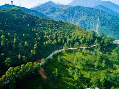 From Jakarta: Safari Park, Tea Plantation & Jaksa Waterfall - Taman Safari Bogor: Big Animals, Shows, and the Baby-Animal Close-Ups