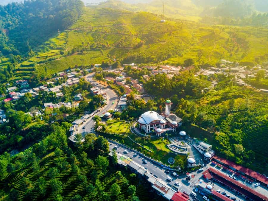 From Jakarta: Safari Park, Tea Plantation & Jaksa Waterfall - FAQ