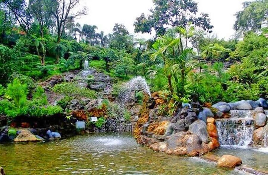 From Jakarta : Volcano, Tea & Rice Fields, Hot Spring - Rice fields and village views: the calm between the big sights