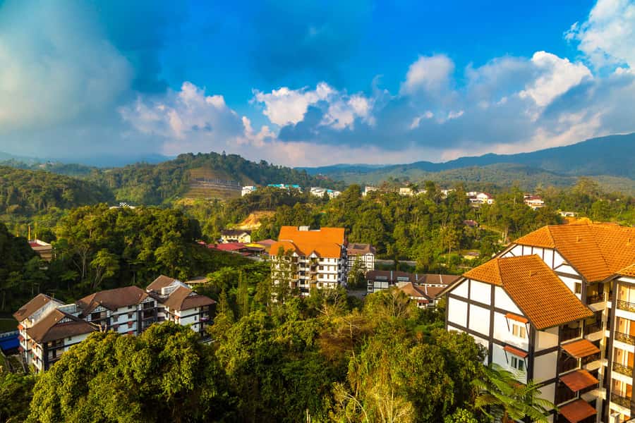 From KL: Cameron Highlands with BOH Habu & Sungei Tea Visit - Price and value: is $426 per group up to 4 a fair deal?