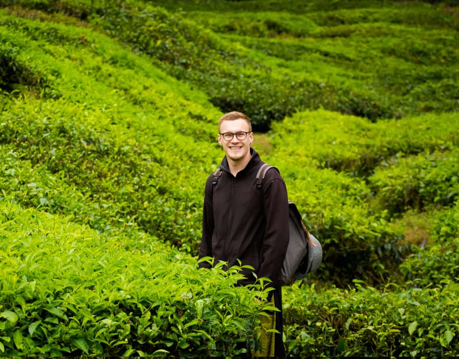 From KL: Cameron Highlands with BOH Habu & Sungei Tea Visit - Lata Iskandar waterfall: a short break that can set your day up right