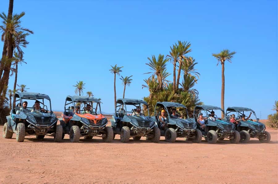 From Marrakech: Palm Grove Quad Bike Tour with Mint Tea - Key highlights you’ll feel right away