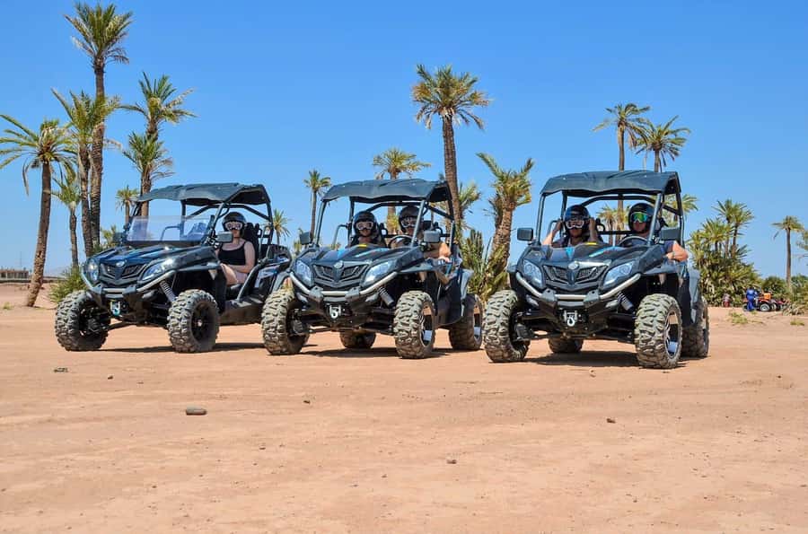 From Marrakech: Palm Grove Quad Bike Tour with Mint Tea - Two hours of dunes and palm grove zipping: the best kind of contrast