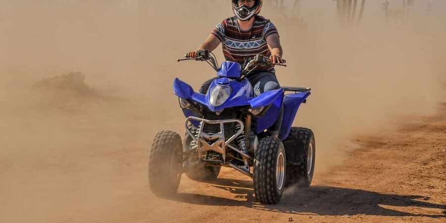 From Marrakech: Palm Grove Quad Bike Tour with Mint Tea - What to bring, what to wear, and how to avoid the common annoyances