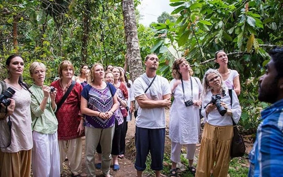 From Munnar: Tea Factory, Plantation, and National Park Tour - Key points to know before you go