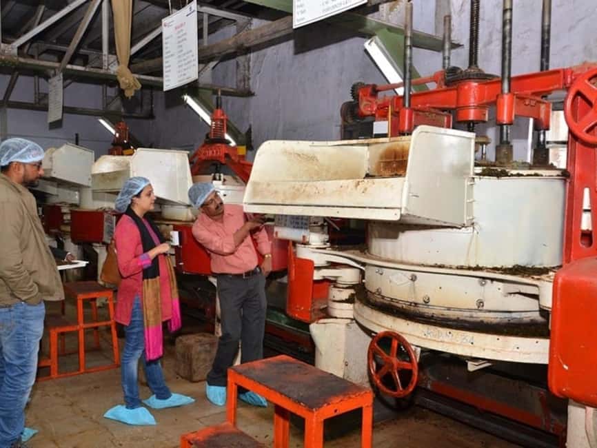 From Munnar: Tea Factory, Plantation, and National Park Tour - Lockhart Tea Factory: From Leaf Plucking to Packaged Tea