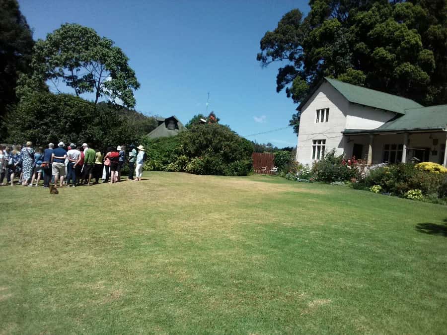 From Nairobi: Kiambethu Tea Farm Tour & Lunch - Tea Plantation to Tea Cup: What You’ll Learn on the Walk