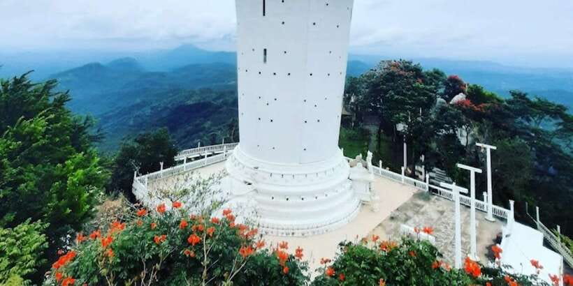 From Negombo: Ambuluwawa Tower & Tea Factory,Kandy Day Trip - Royal Botanical Garden in Kandy: worth it, but choose your pace