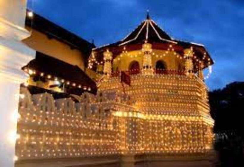 From Negombo : Pinnawala & Tea Factory & Kandy Full Day Trip - Royal Botanic Gardens in Kandy: your calmer pause above the city