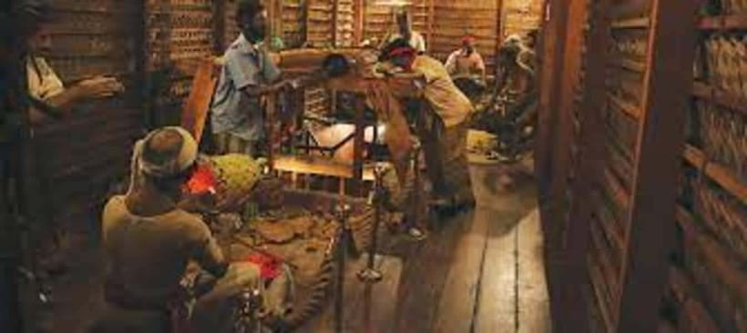 From Negombo : Pinnawala & Tea Factory & Kandy Full Day Trip - Temple of the Sacred Tooth Relic: the moment you remember