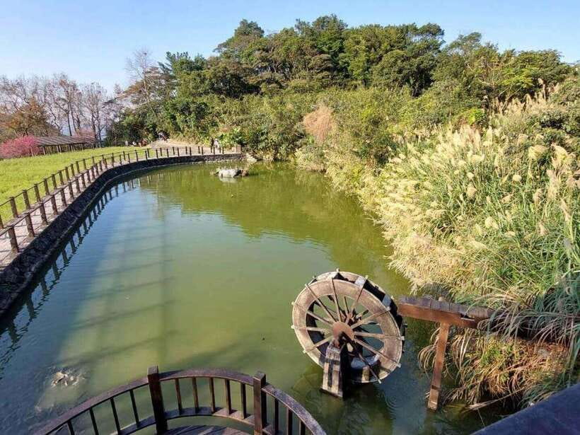 From Taipei: Pinglin Tea Culture and Maokong Guided Day Tour - Pinglin Tea Museum: Siheyuan Style and Tea Tools Up Close