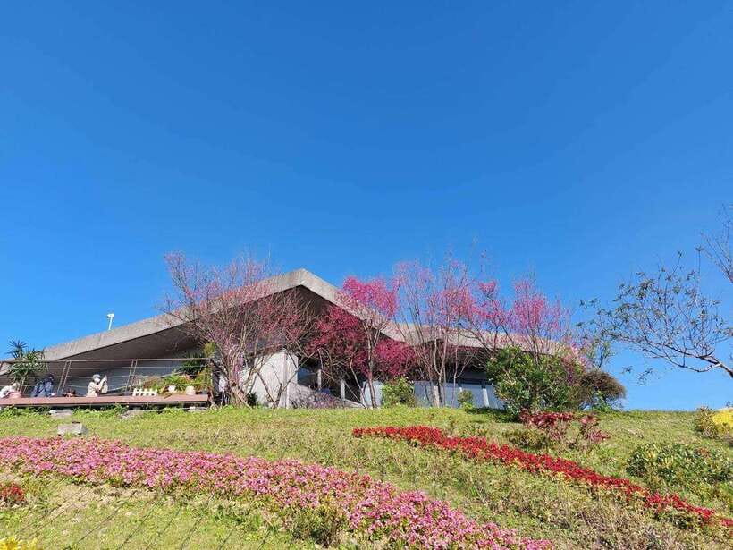 From Taipei: Pinglin Tea Culture and Maokong Guided Day Tour - Tieguanyin and Baozhong at the Taipei Tea Promotion Center