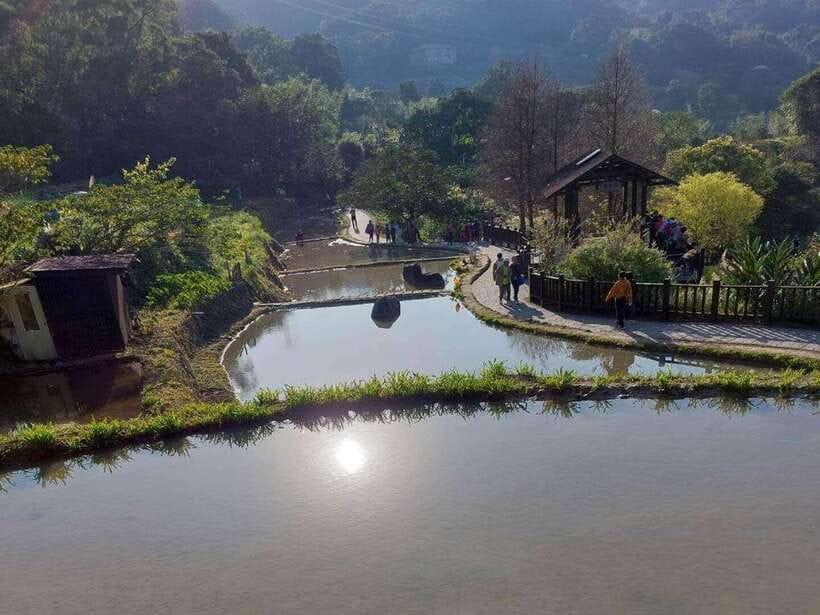 From Taipei: Pinglin Tea Culture and Maokong Guided Day Tour - Lunch in Maokong: Tea Town Food at Your Own Pace