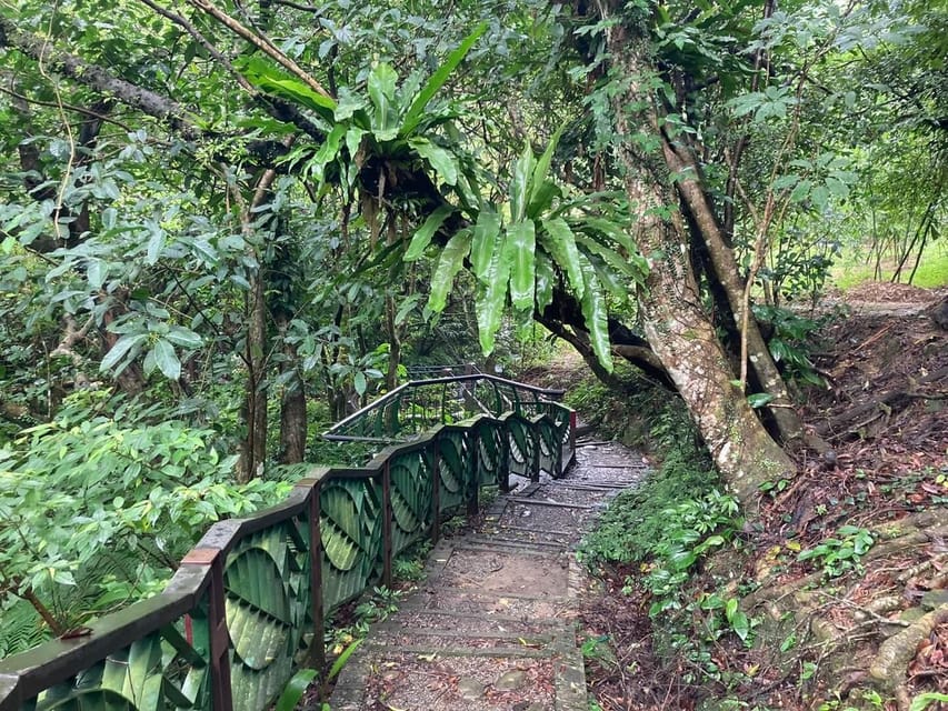 From Taipei: Pinglin Tea Culture and Maokong Guided Day Tour - Thousand Island Lake (Shiding): Feitsui Reservoir’s Island View
