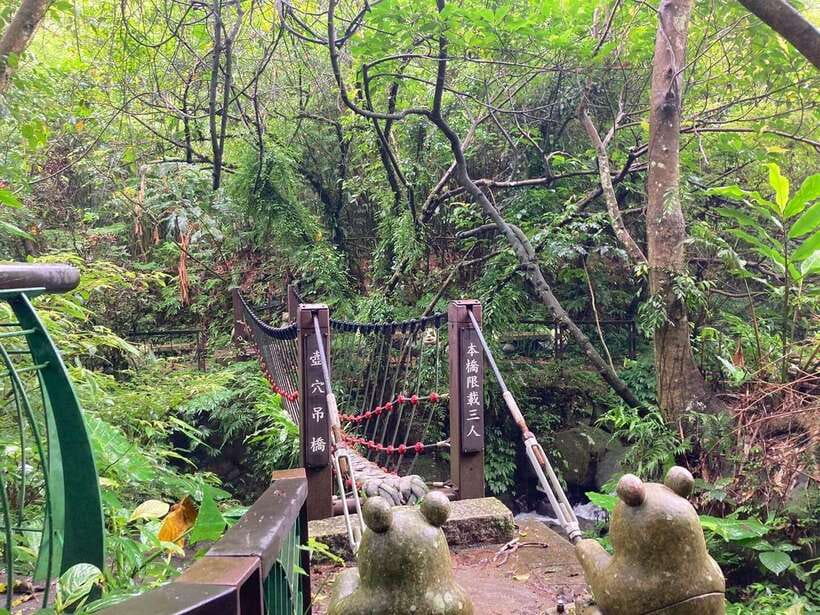 From Taipei: Pinglin Tea Culture and Maokong Guided Day Tour - Bagua Tea Plantation: Eight Trigrams From the Hilltop
