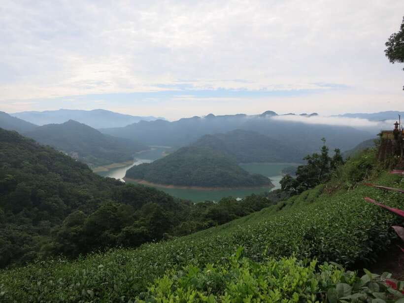 From Taipei: Thousand Island Lake and Pinglin Tea Plantation - Should You Book This Thousand Island Lake and Pinglin Tea Tour?