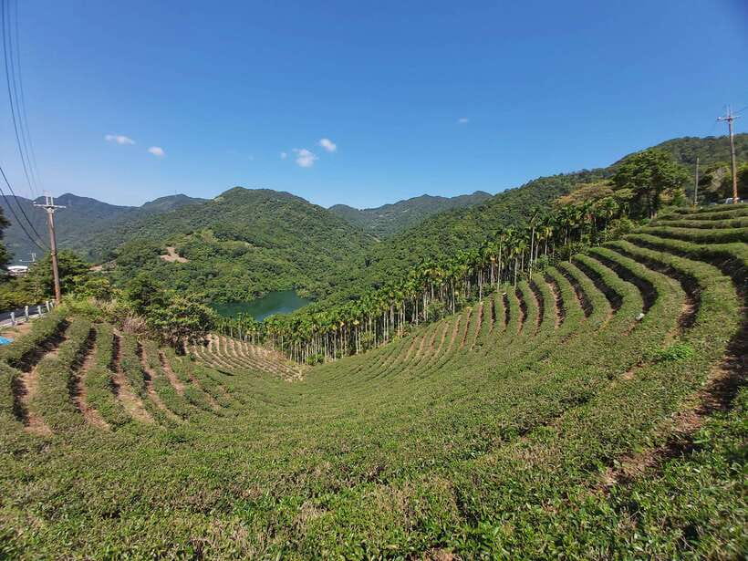 From Taipei: Thousand Island Lake and Pinglin Tea Plantation - Thousand Island Lake (Qiandao Lake): Why the Reservoir Looks Like Thousands of Islands
