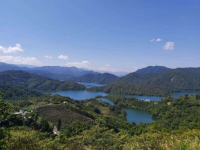 From Taipei: Thousand Island Lake and Pinglin Tea Plantation - Bagua Tea Garden in Shiding: Eight Trigrams in Real Tea Rows