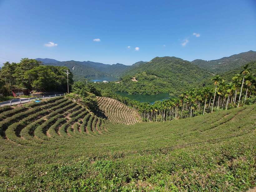 From Taipei: Thousand Island Lake and Pinglin Tea Plantation - A Simple Checklist to Make the Day Smooth