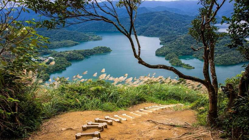 From Taipei: Thousand-Island Lake & Tea Museum Private Tour - Why Thousand Island Lake and Taiwanese tea fit together in one 5-hour trip