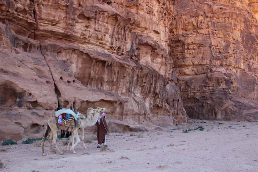 From Wadi Rum: Camel Ride Experience with Tea and Guide - Camel riding across Wadi Rum: where the photos come from