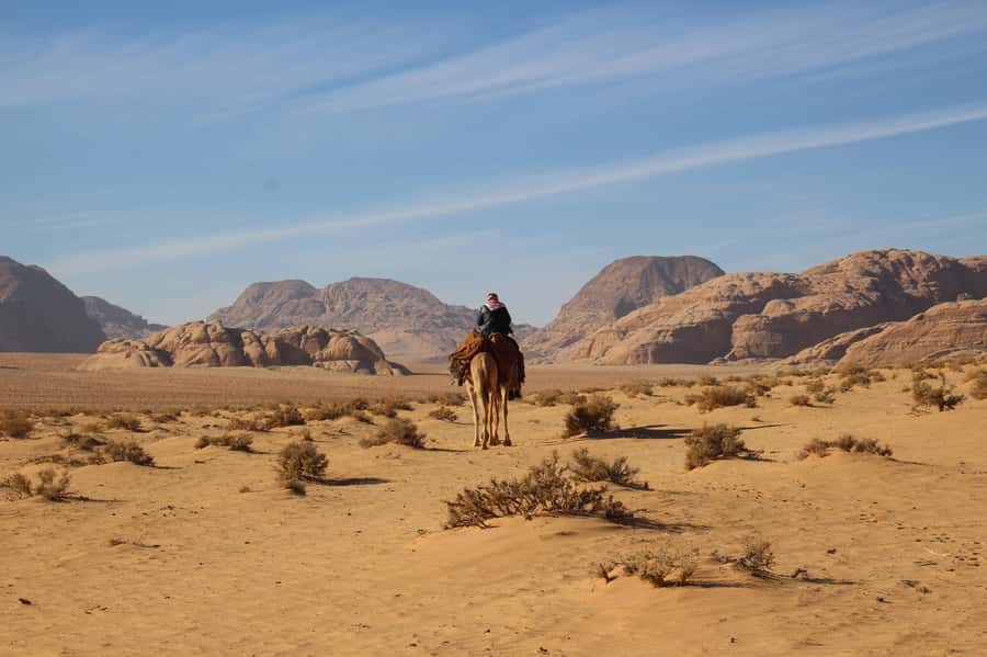 From Wadi Rum: Camel Ride Experience with Tea and Guide - Tea with Bedouin hospitality: what that break adds
