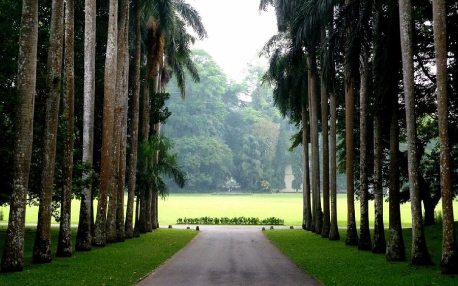 From west coast: Kandy, Tooth temple, Botanical & Tea garden - Kandy Downtown: Lake Views, Religious Landmarks, and Shopping Time