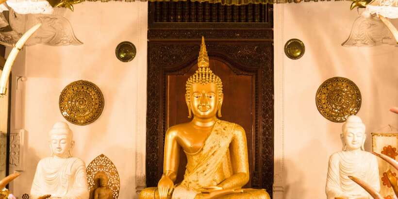 From west coast: Kandy, Tooth temple, Botanical & Tea garden - Price and Logistics: Is $84 Good Value for a Packed Day?