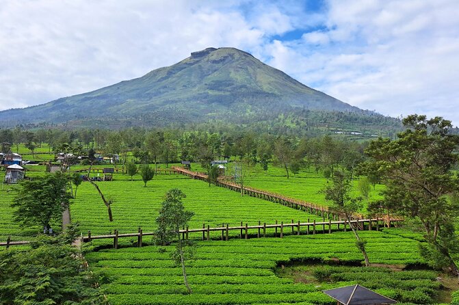 Full-Day Adventure: Tea Plantation & the Mystical Dieng Plateau - Price and value: is $68 fair for what you get?