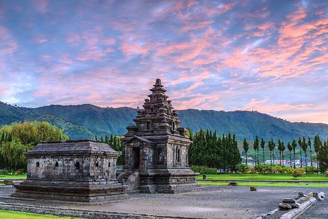 Full-Day Adventure: Tea Plantation & the Mystical Dieng Plateau - Sikatok Tea Garden: walking tea rows and learning the work behind them