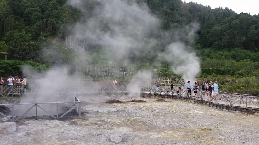 Full day Furnas | Hotsprings | Thermal Baths | Tea Factory - Gorreana Tea Factory: the warm, calm end of the day