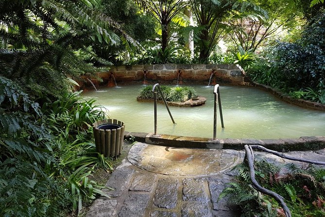 Full-Day Furnas Tour: Hot Springs, Traditional Lunch & Tea - Parque Terra Nostra: thermal pool time in a 200-year garden