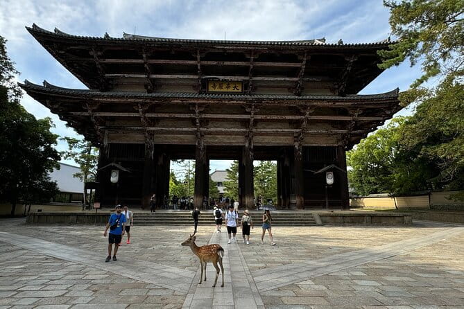 Full Day Nara Deer, Temple, Shrine, Activities & Tea Ceremony - Kikuichi Knife Culture: The Craft Behind the Cutting Edge