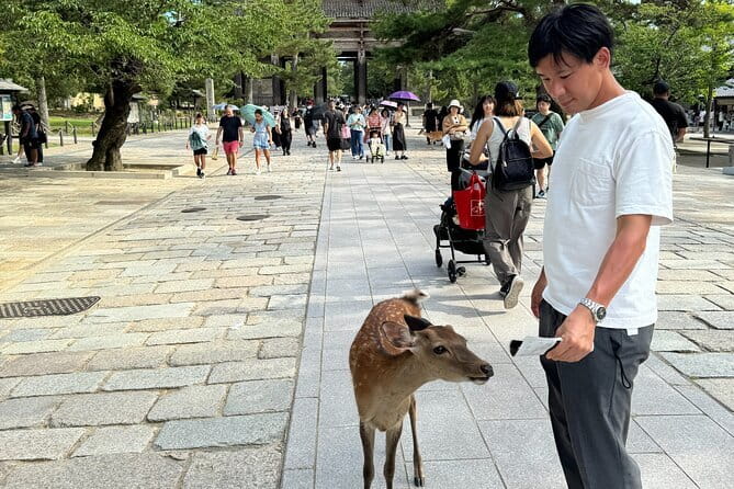 Full Day Nara Deer, Temple, Shrine, Activities & Tea Ceremony - Gangoji Temple: The Oldest-Temple Feeling Plus a Demon Story