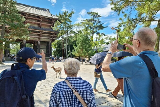 Full Day Nara Deer, Temple, Shrine, Activities & Tea Ceremony - Shofukutei Tea Ceremony: Matcha and Wagashi Right in Front of You