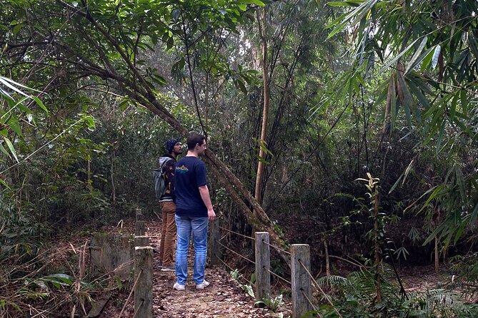 Full Day Sreemangal Tea Garden & National Park Hiking Tour - Sreemangal in a single day: tea hills to rainforest trails