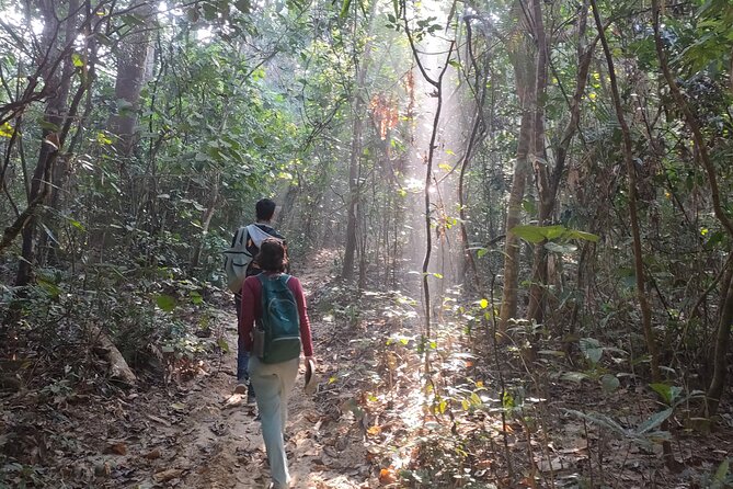 Full Day Sreemangal Tea Garden & National Park Hiking Tour - Khashia hilltop village: culture between the monkeys and birds