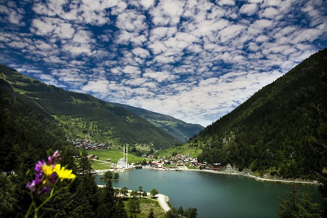 Full Day Tour In Uzungol Lake with Turkish Tea Tasting - Stop 1 in Surmene: tea tasting that’s more than sipping