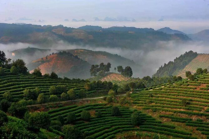 Full-day Tour: Spectacular Sunrise, Tea Plantation & Sunset - Things you should bring (and do) for a smooth day