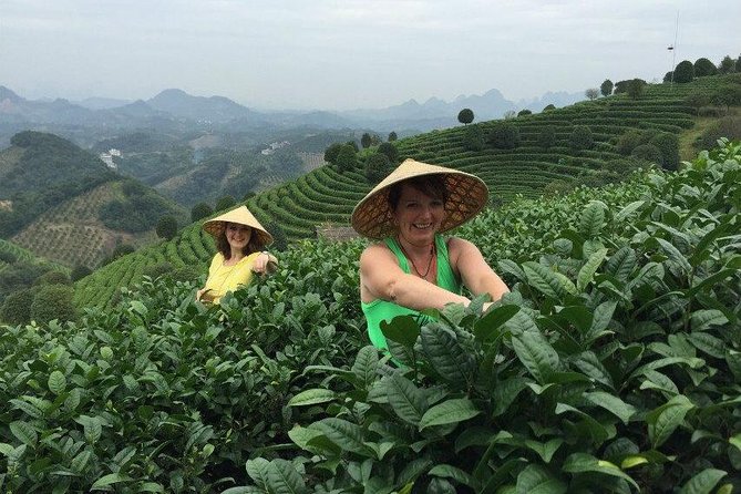 Full-day Tour: Spectacular Sunrise, Tea Plantation & Sunset - Who this tour is best for