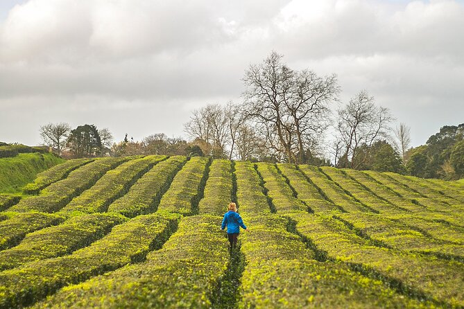 Furnas in a Private Evening - Tea, Cozido Dinner and Hot Springs - Cozido dinner: what you’ll eat and how to request options