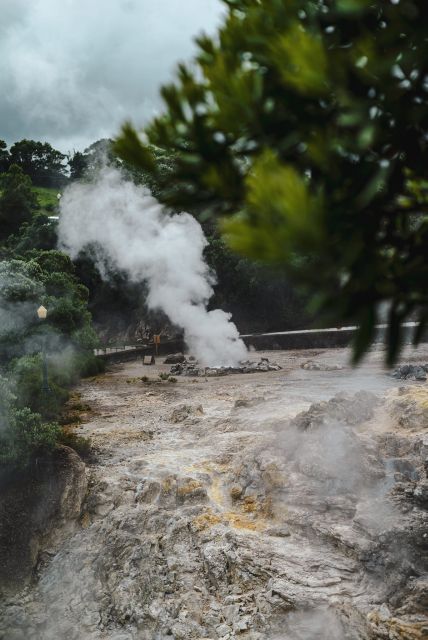 Furnas: Thermal Springs & Tea Plantation Day Tour with Lunch - First stop: Terra Nostra Park hot pools and the wait you’ll actually enjoy