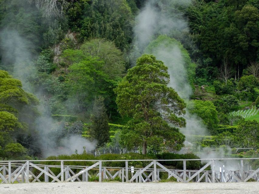 Furnas: Thermal Springs & Tea Plantation Day Tour with Lunch - Furnas lunch: cozido in its home setting