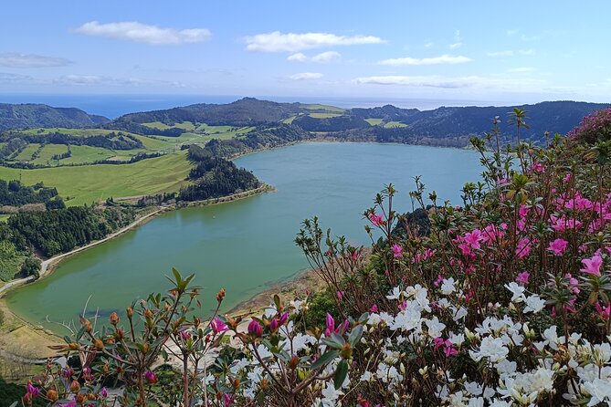 Furnas Vale, Gorreana Tea Factory Private Van Tour - Key Highlights You’ll Care About