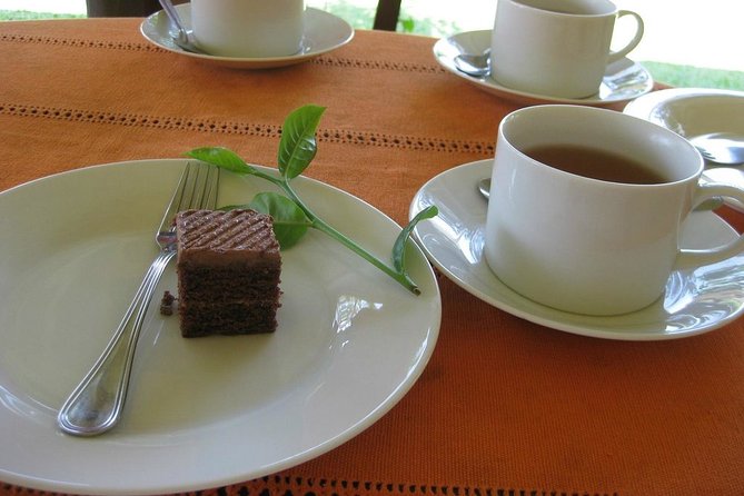 Galle Day Tour and Tea Plantation from Bentota & Other Places - Koggala stilt fishermen: fast, iconic, and worth the viewpoint